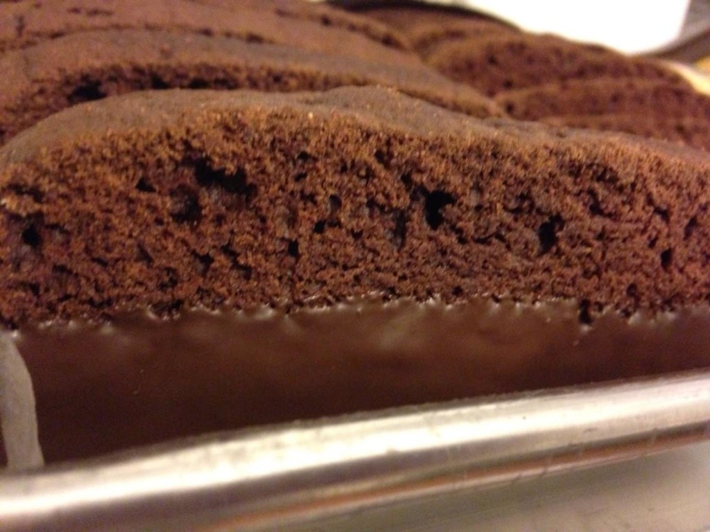 Photo of Chocolate Brownie Biscotti